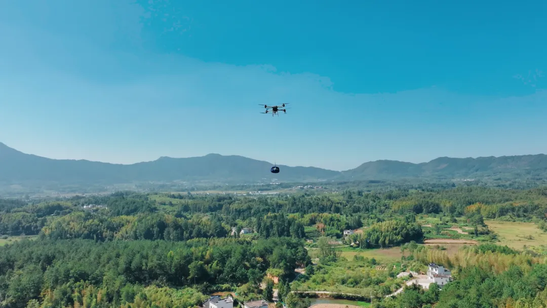 202410010002.jpg 202410010002.jpg