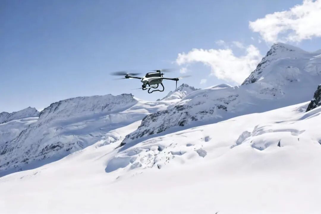 青鹞-10.jpg 青鹞-10.jpg