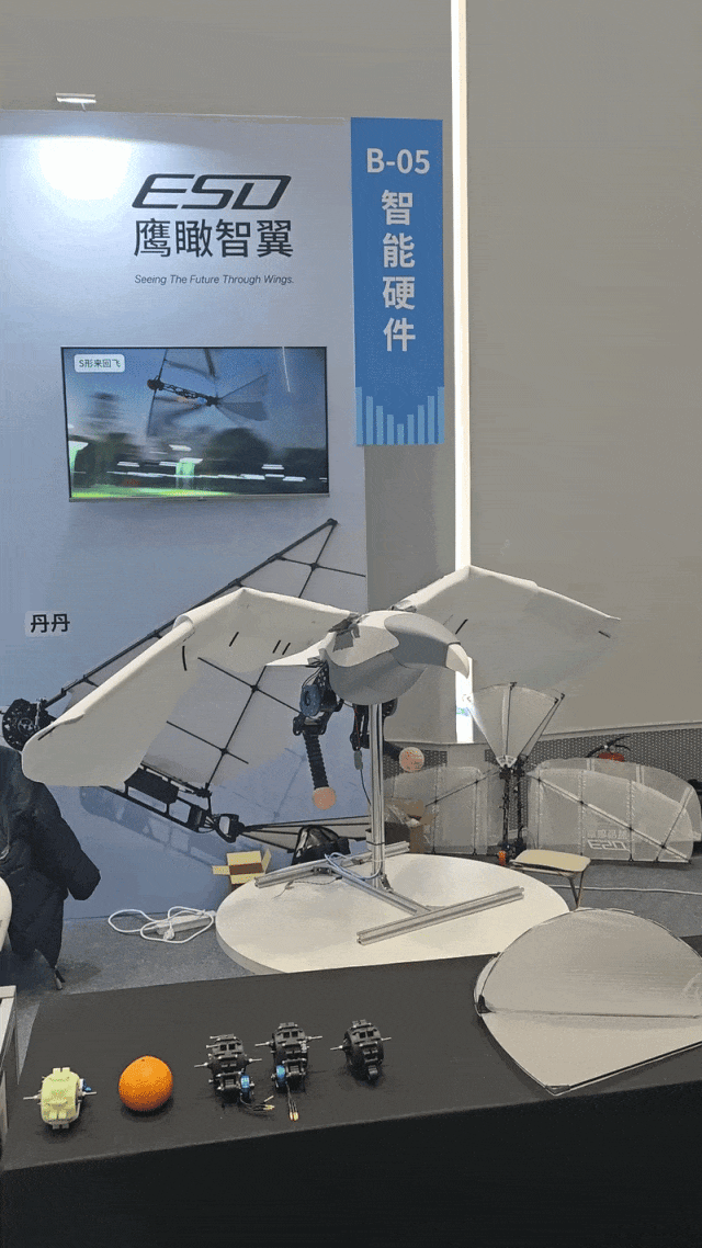 鹰瞰智翼2.gif 鹰瞰智翼2.gif