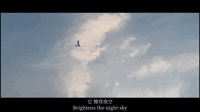 鹰瞰智翼1.gif 鹰瞰智翼1.gif