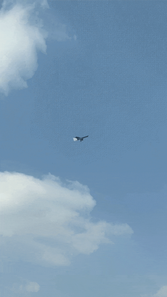 鹰瞰智翼3.gif 鹰瞰智翼3.gif